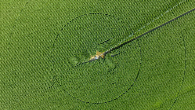 Irrigation Circles