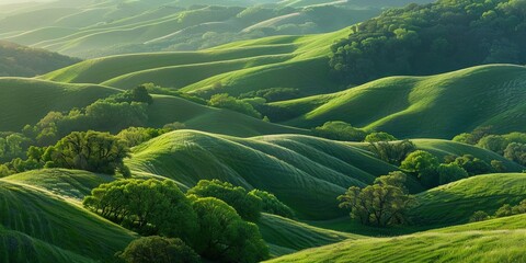 rolling hills covered in green grass