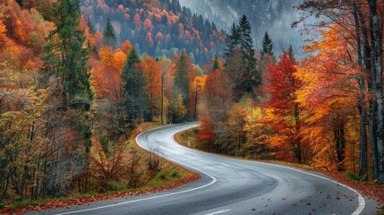 Fototapeta premium Winding road with a mix of autumn colors in the mountain forest generative ai
