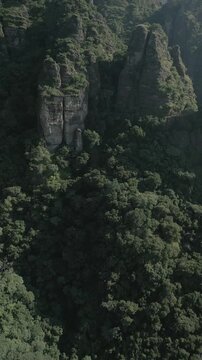 Vertical drone video. Rock formations, forested mountains and large formations. Hiking through the green forest. Hiking concept. Amatlan, Mexico