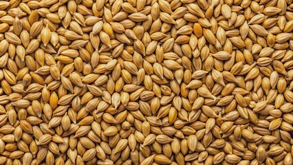 Fototapeta premium Close up of Pale ale malt grains, highlighting the texture and color variations, malt, grains, pale ale, close up