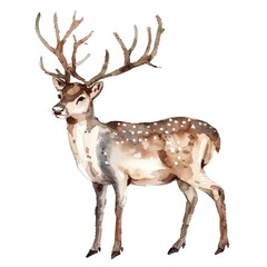 Fototapeta premium 6. Reindeer clipart, animal element, watercolor illustration, natural tones, isolated on white background