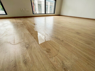 The laminate floor inside the room was damaged by rainwater leaking into the house.