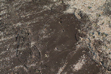 Wet Sand Beach Surface Wallpaper Texture. Grains Sandy shoreline. Abstract natural background.