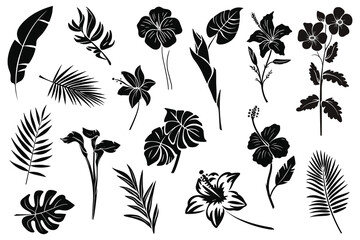 Collection of tropical leaves and flowers, black silhouettes on white background.