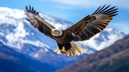 Obraz premium Majestic Bald Eagle Soars Above Mountain Peaks