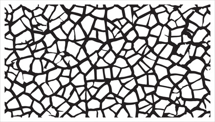 Abstract black and white cracked texture. Geometric pattern background.