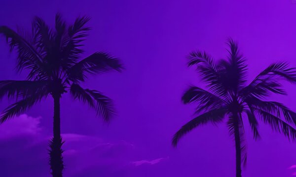 Summer palm beach tree coconut holiday sea background island sand. Vacation palm beach summer green 3D plant sky white illustration blue sun abstract product pattern nature water creative leaf purple.