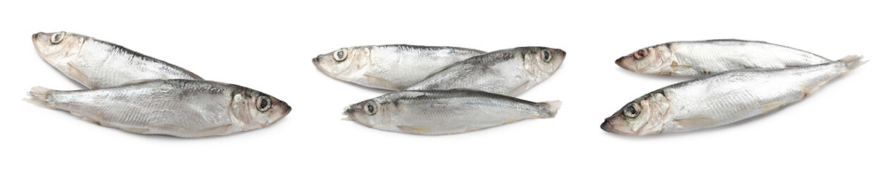 Fresh raw sprats isolated on white, set