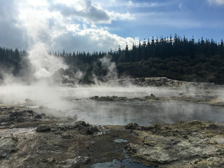 geyser in national park