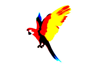 silhouette vector image of male and female gender symbol isolated on white transparent background man and woman icon with word written in english image