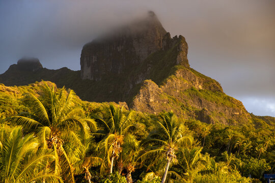 Early morning sunlight hits the east side of tropical island Bora Bora during sunrise. Palm trees and low clouds can be seen in paradise. 