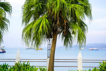 embankment and sea kuah bay in town of Kuah of Langkawi island in Malaysia