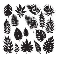set of silhouettes of leaves on white	