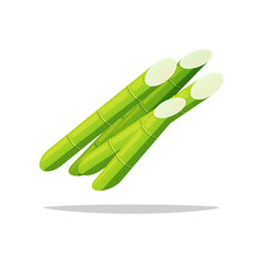 Sugar cane vector isolated on white background.