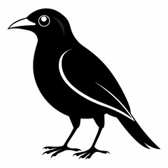 Vector hand-drawn Myna silhouette black illustration