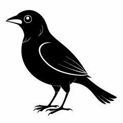 Vector hand-drawn Myna silhouette black illustration