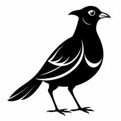 Naklejka premium Vector hand-drawn Myna silhouette black illustration