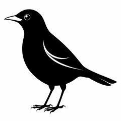Vector hand-drawn Myna silhouette black illustration