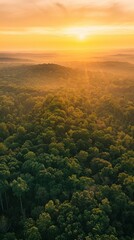 Obraz premium Aerial Panorama of Sunset Over Primary Forest