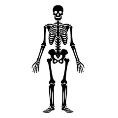 skeleton silhouette, Halloween.