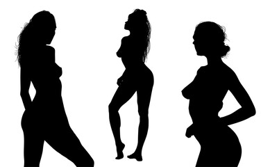 silueta mujer, pose, vector, baile, cuerpo, erotico, seductor, ilustracion