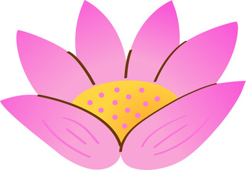 A pink lotus
