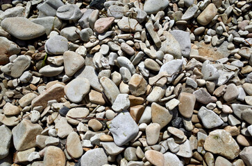 浄土ヶ浜　流紋岩