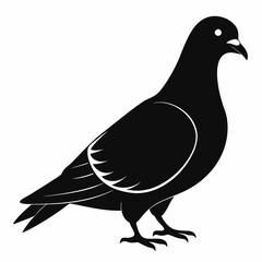 Pigeon isolated on white, Pigeon vector illustration, bird on a branch vector art, Pigeon silhouette, bird vector icon, Pigeon on a branch vector, eps