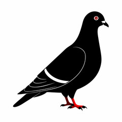 Pigeon isolated on white, Pigeon vector illustration, bird on a branch vector art, Pigeon silhouette, bird vector icon, Pigeon on a branch vector, eps