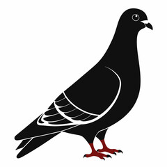 Pigeon isolated on white, Pigeon vector illustration, bird on a branch vector art, Pigeon silhouette, bird vector icon, Pigeon on a branch vector, eps