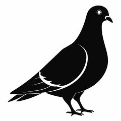 Pigeon isolated on white, Pigeon vector illustration, bird on a branch vector art, Pigeon silhouette, bird vector icon, Pigeon on a branch vector, eps