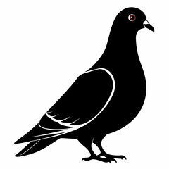 Pigeon isolated on white, Pigeon vector illustration, bird on a branch vector art, Pigeon silhouette, bird vector icon, Pigeon on a branch vector, eps