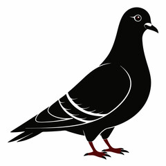 Pigeon isolated on white, Pigeon vector illustration, bird on a branch vector art, Pigeon silhouette, bird vector icon, Pigeon on a branch vector, eps