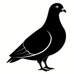 Pigeon isolated on white, Pigeon vector illustration, bird on a branch vector art, Pigeon silhouette, bird vector icon, Pigeon on a branch vector, eps