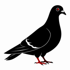 Pigeon isolated on white, Pigeon vector illustration, bird on a branch vector art, Pigeon silhouette, bird vector icon, Pigeon on a branch vector, eps