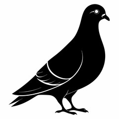 Pigeon isolated on white, Pigeon vector illustration, bird on a branch vector art, Pigeon silhouette, bird vector icon, Pigeon on a branch vector, eps