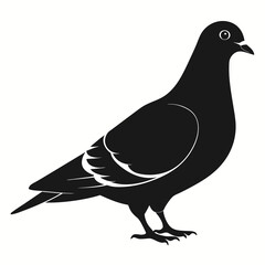 Pigeon isolated on white, Pigeon vector illustration, bird on a branch vector art, Pigeon silhouette, bird vector icon, Pigeon on a branch vector, eps