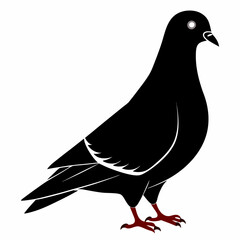 Pigeon isolated on white, Pigeon vector illustration, bird on a branch vector art, Pigeon silhouette, bird vector icon, Pigeon on a branch vector, eps