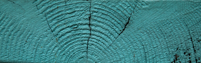 close up of peeling old  turquoise blue pine wood grain with copy space, top view, wooden background close-up