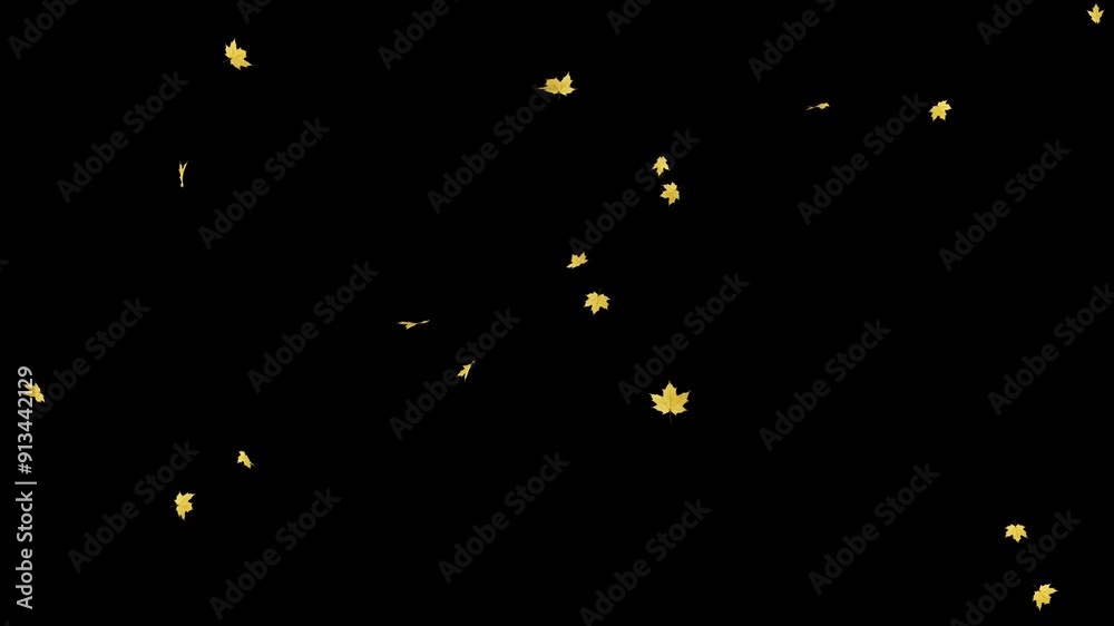Wall mural maple leaves falling on alpha channel. maple fall in a seamless loop place on footage or background 