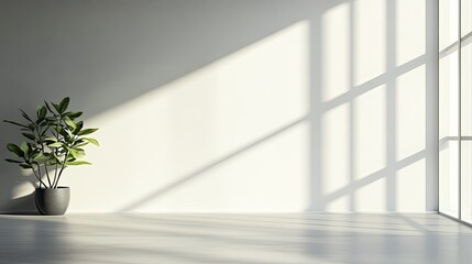 Minimalist background with a smooth, matte white wall and subtle shadow play, emphasizing simplicity and elegance.