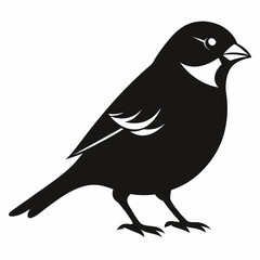 Sparrow isolated on white, sparrow vector illustration, bird on a branch vector art, sparrow silhouette, bird vector icon, sparrow on a branch vector, eps