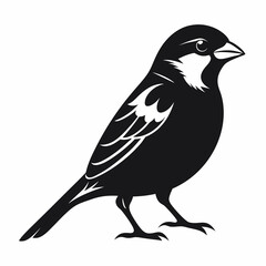 Obraz premium Sparrow isolated on white, sparrow vector illustration, bird on a branch vector art, sparrow silhouette, bird vector icon, sparrow on a branch vector, eps