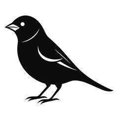 Obraz premium Sparrow isolated on white, sparrow vector illustration, bird on a branch vector art, sparrow silhouette, bird vector icon, sparrow on a branch vector, eps