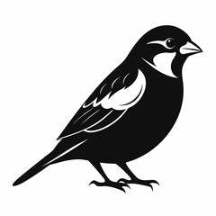 Sparrow isolated on white, sparrow vector illustration, bird on a branch vector art, sparrow silhouette, bird vector icon, sparrow on a branch vector, eps
