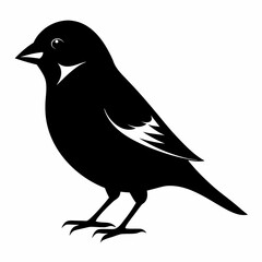 Sparrow isolated on white, sparrow vector illustration, bird on a branch vector art, sparrow silhouette, bird vector icon, sparrow on a branch vector, eps