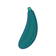 Zucchini Illustration