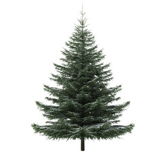Fototapeta premium Christmas tree isolated on transparent background