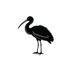 roseate spoonbill silhouette.